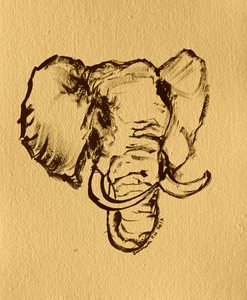 Skisse av vill elefant av Santhosh ch