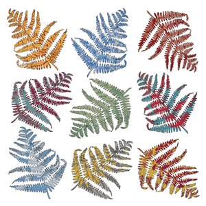 Ferns, 2012 (digital)