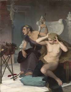 Bacidae