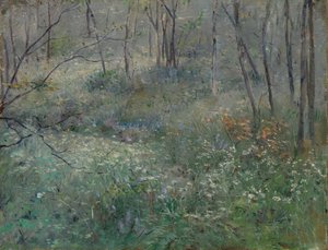 Vill persille, 1900.