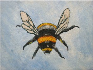 Humle, 2015 (pastell og akvareller) av Sarah Thompson Engels