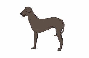 Hound, 2018, (digital tegning) av Sarah Thompson Engels