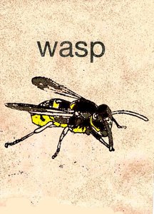 "Wasp" 2014 (monoprint) av Sarah Thompson Engels