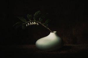  av Saskia Dingemans