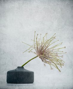  av Saskia Dingemans