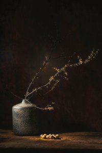  av Saskia Dingemans