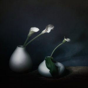  av Saskia Dingemans