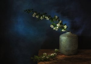  av Saskia Dingemans