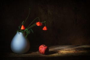  av Saskia Dingemans