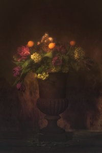  av Saskia Dingemans