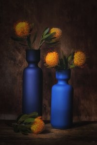  av Saskia Dingemans