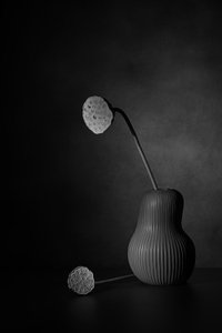  av Saskia Dingemans