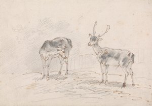 Doe og Buck av Sawrey Gilpin