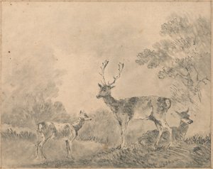 Dåhjort: Hjort, Doe og Fawn i en lysning av Sawrey Gilpin