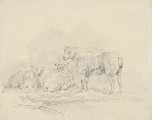 Tre sauer av Sawrey Gilpin