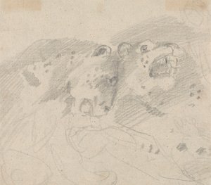To leoparder av Sawrey Gilpin