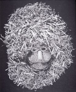 Iroquois Mask (maisskal) av School American