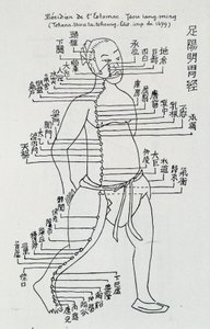 Akupunktur: "" Meridian av magen"", red. av School Chinese