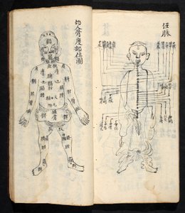 Akupunkturpunkter langs den sentrale linjen i kroppen, fra Jing Guan Qi Zhi, 