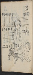 Akupunkturpunkter langs ryggraden og hodet, fra Jing Guan Qi Zhi, 