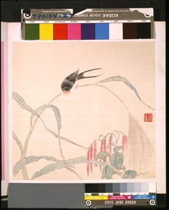  av School Chinese