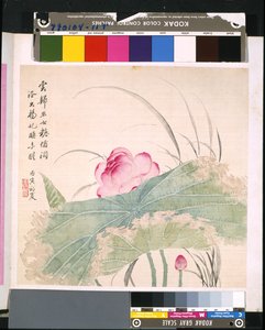  av School Chinese