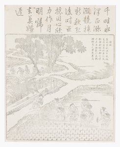 Plante risen av School Chinese