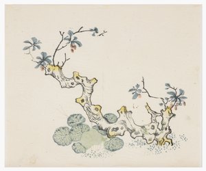 Ti bambus-serien av School Chinese