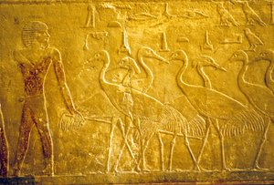 av School Egyptian