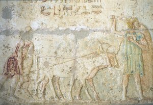  av School Egyptian