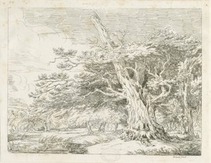 Needwood - Eiketre: etsning av School English