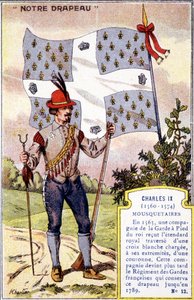 Banneret til musketerene til Charles IX av School French