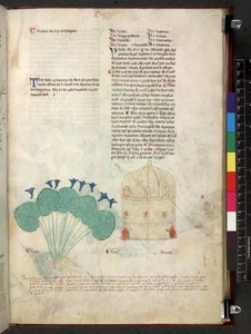 Egerton 747 Tractatus de herbis (urte) c.1280-1310 (blekk og farge på vellum) av School Italian
