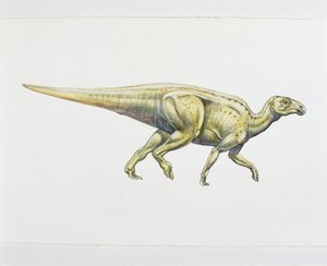Hadrosaurid eller andnebbdinosaur (farge litho) av School Italian