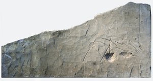 Hebraisk gravinskripsjon fra Beth Loya, foten av Judea, Israel, 6. århundre f.Kr. (stein)
