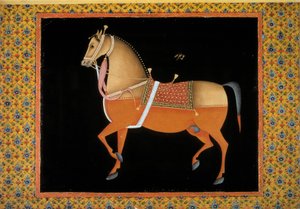 Moghol-kunst: representasjon av en hingst. 1700-talls gouache. Paris, B.N.