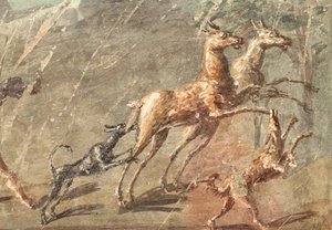 Elsker mens de jakter, Herculaneum