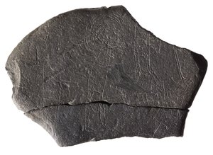 Gisselstein, fra det tidlige middelalderske øyklosteret, Inchmarnock, Bute, Skottland, ca. 8.-9. århundre e.Kr. (skifer) av Scottish School