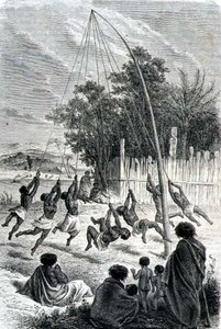 Maori Warriors Playing on a Swing, illustrasjon fra 