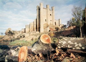 Castillo de Coyanza, bygget fra 1300- til 1400-tallet av grevene av Valencia (bilde) av School Spanish