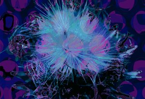 Artisjokk (digital) av Scott J. Davis