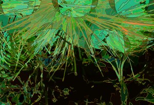Artichoke_abst_horz2 (digital) av Scott J. Davis