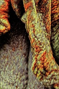 Trestamme, 2021 (digital) av Scott J. Davis