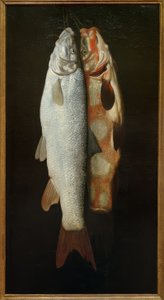 Fiskestilleben av Sebastian Stosskopf
