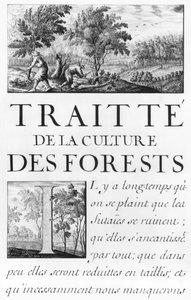 Ms 260 tome IV Frontispice av 