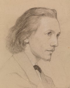  av Severin Falkman