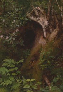 Ekornet av Seymour Joseph Guy