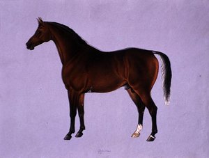 Oppidan, ca. 1840 (akvarell på papir)