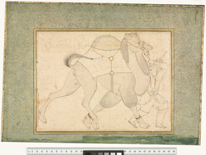 Kamel og brudgom, ca. 1545-76 av Shaykh Muhammad