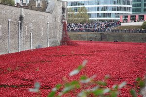 Blood Swept Lands and Seas of Red, Tower of London, 2014.